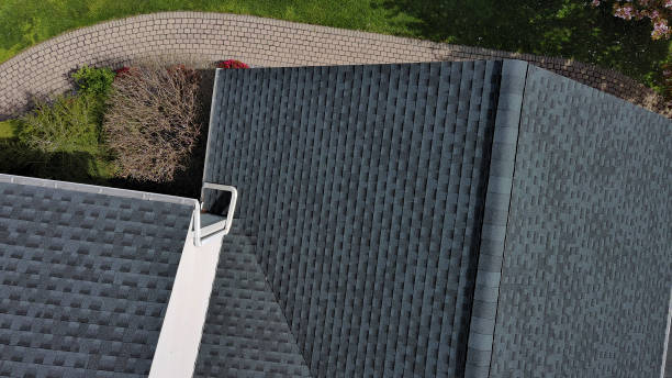 Best Roof Moss and Algae Removal  in Abernathy, TX